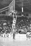 Dunk van Martin Scheltes